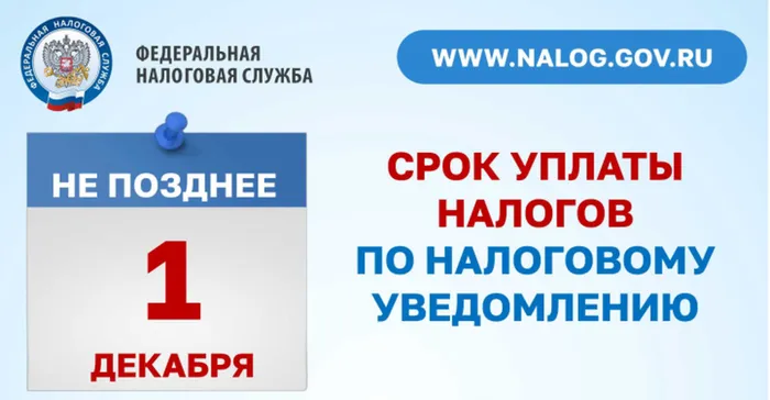 налог